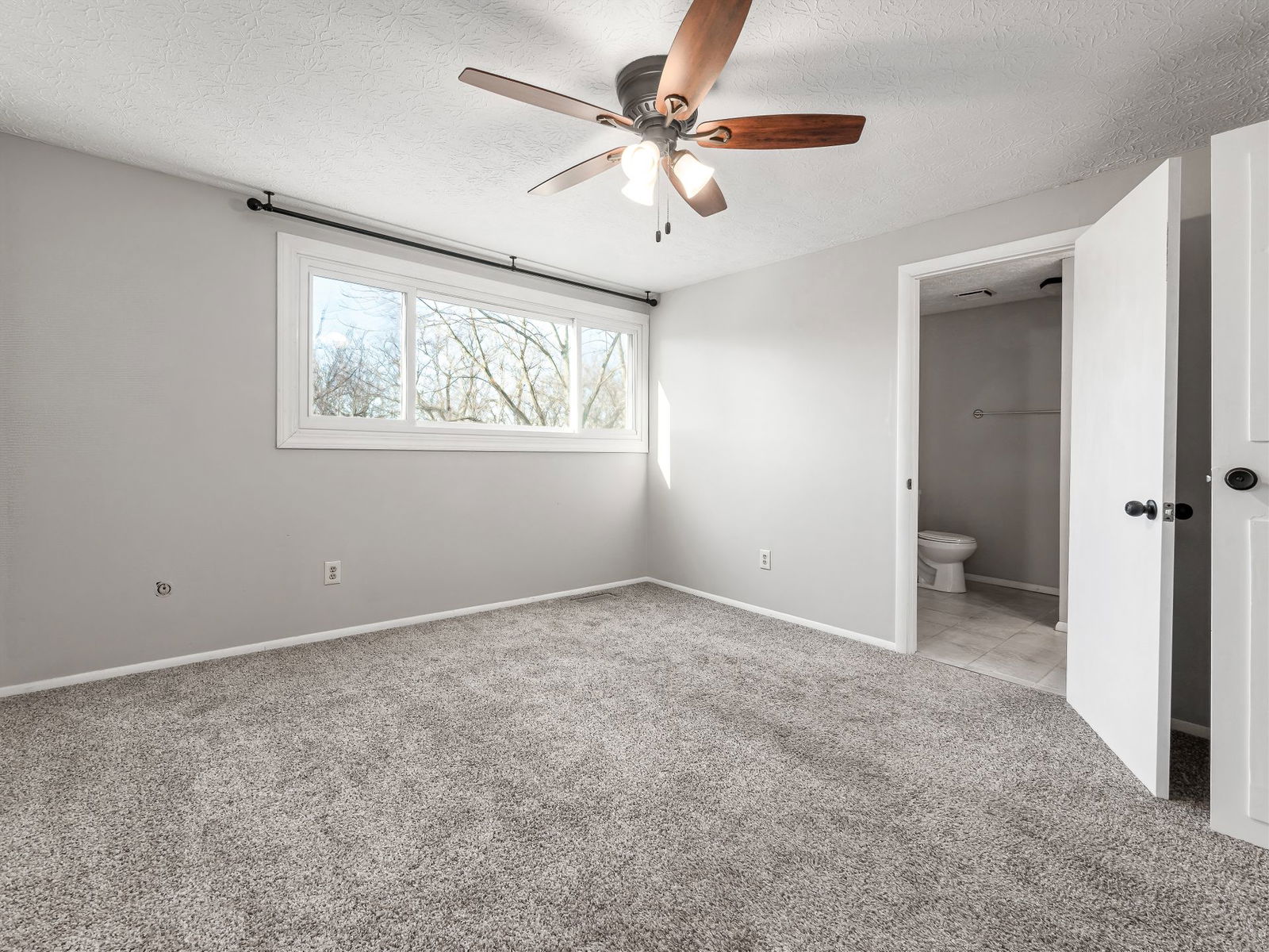 Gallery Image 66