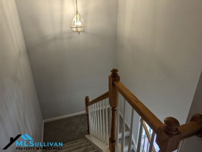 Gallery Image 18
