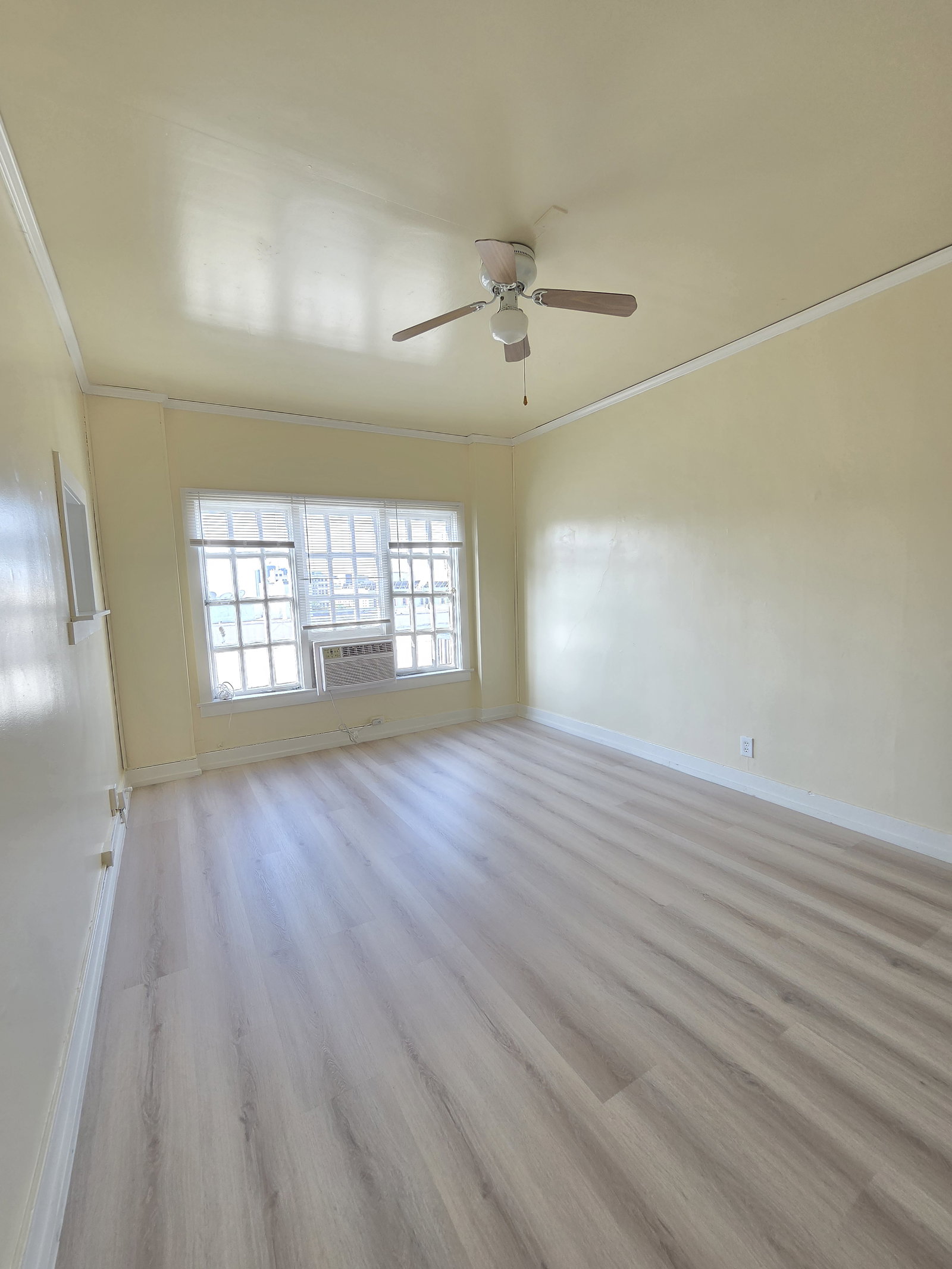 Gallery Image 0