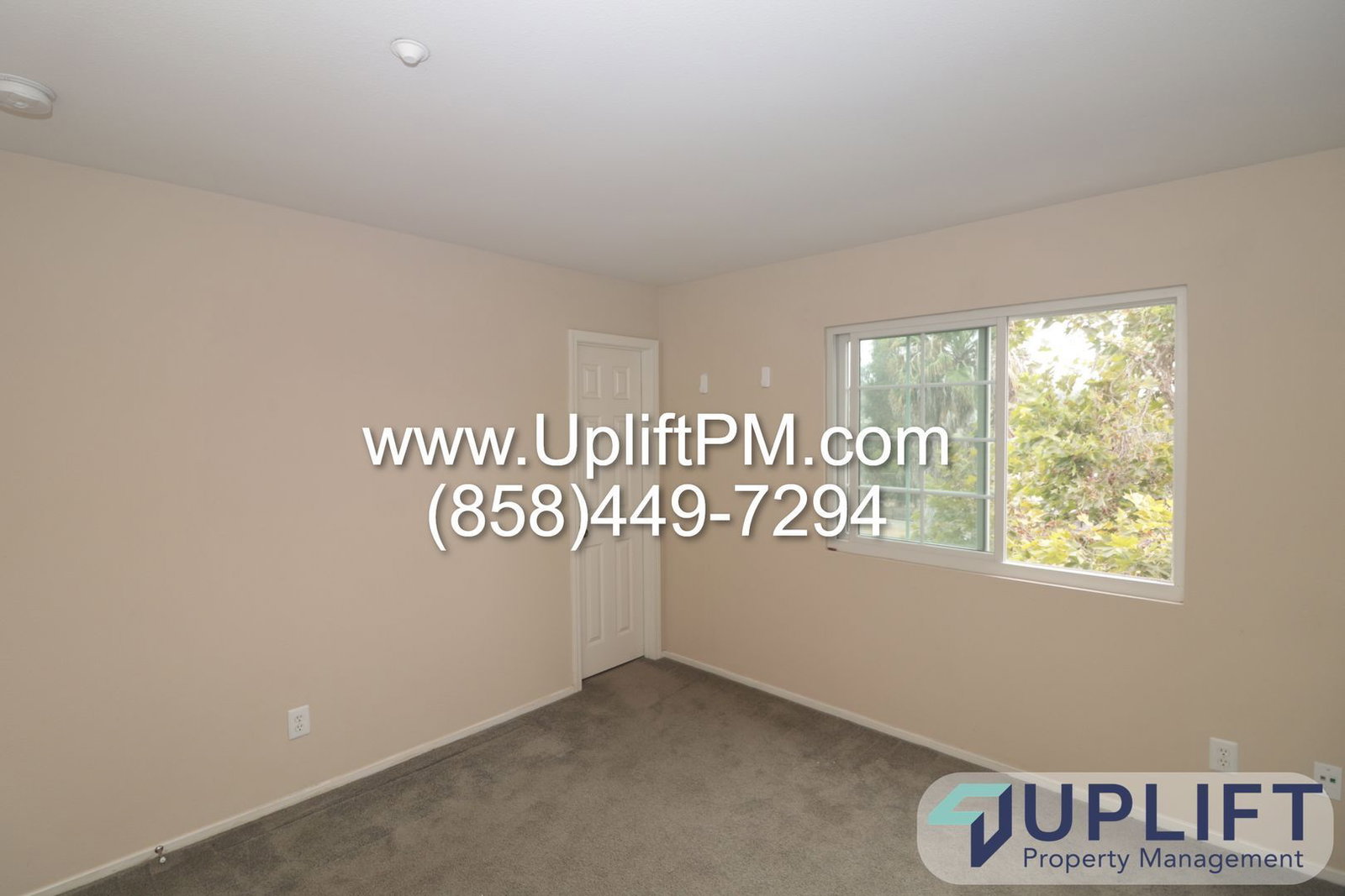 Gallery Image 20