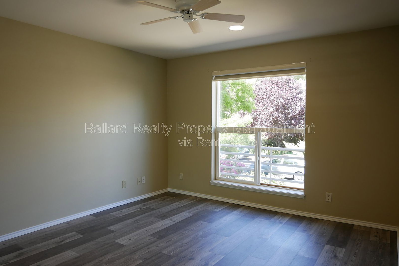 Gallery Image 18