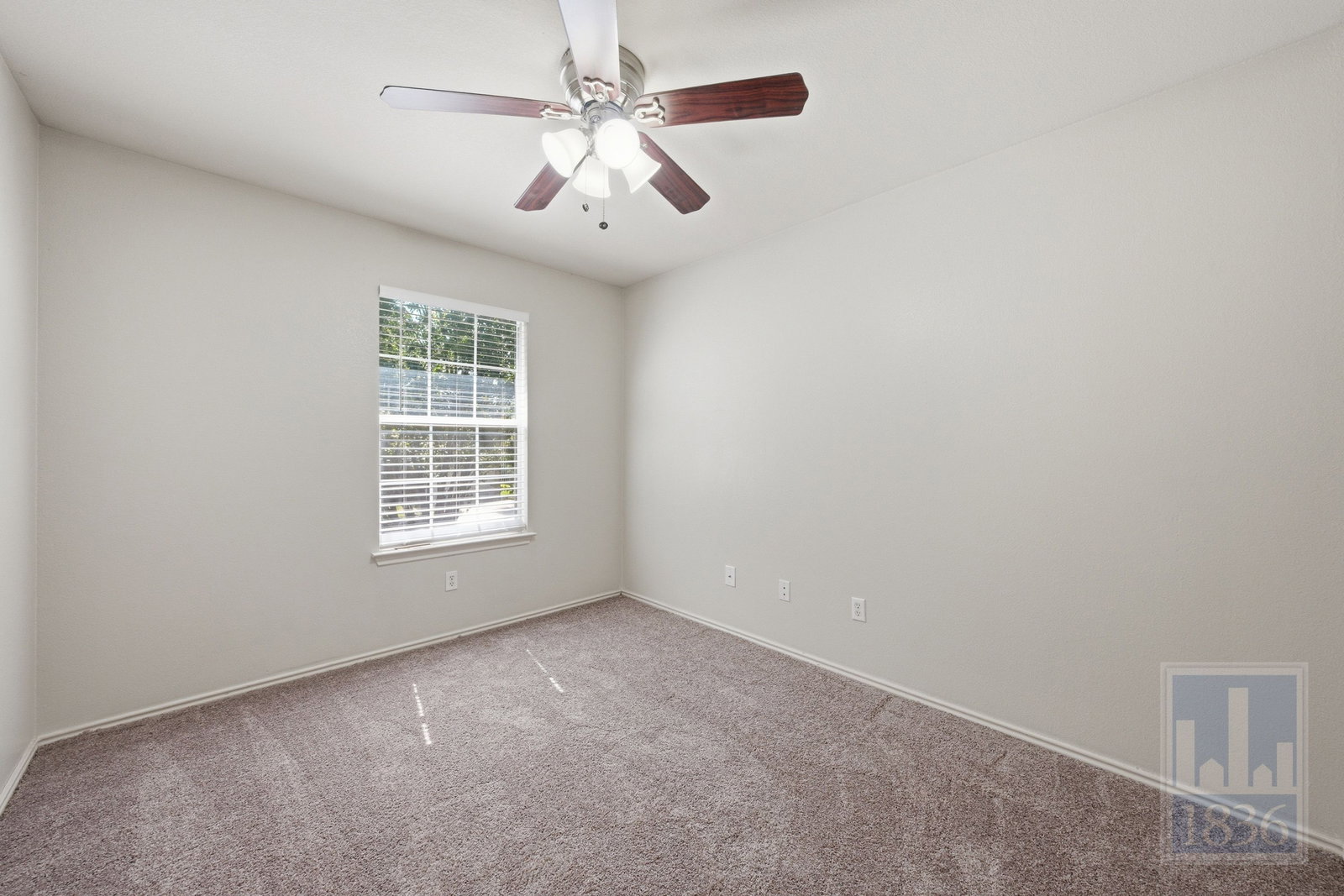 Gallery Image 50