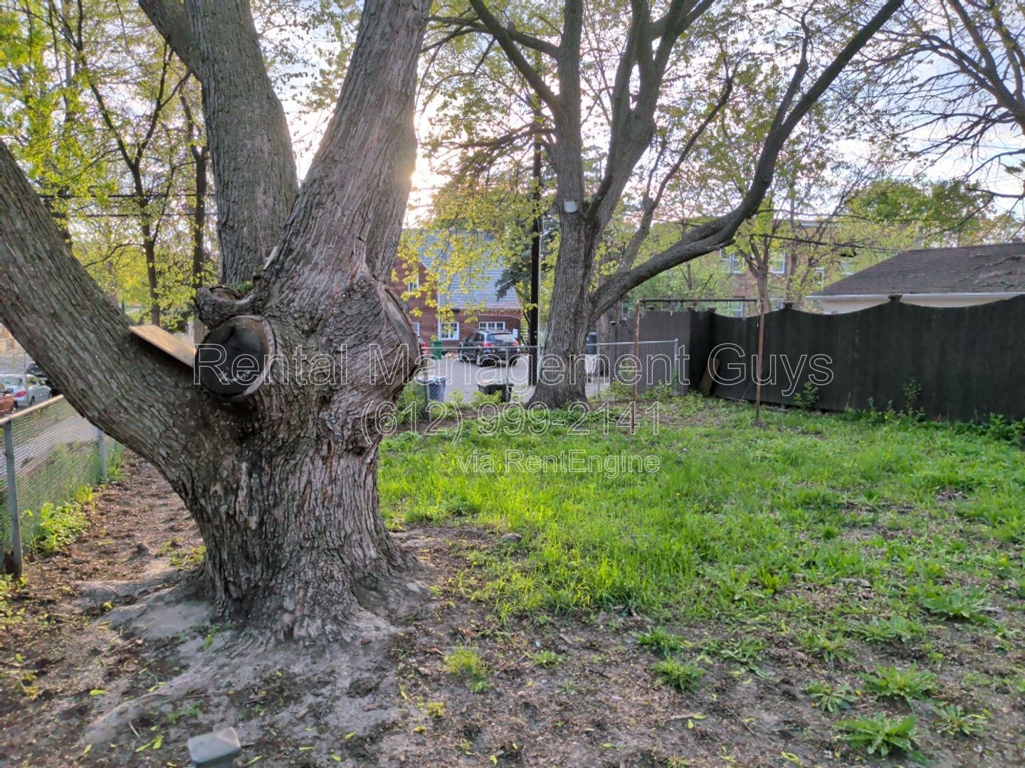 Gallery Image 13