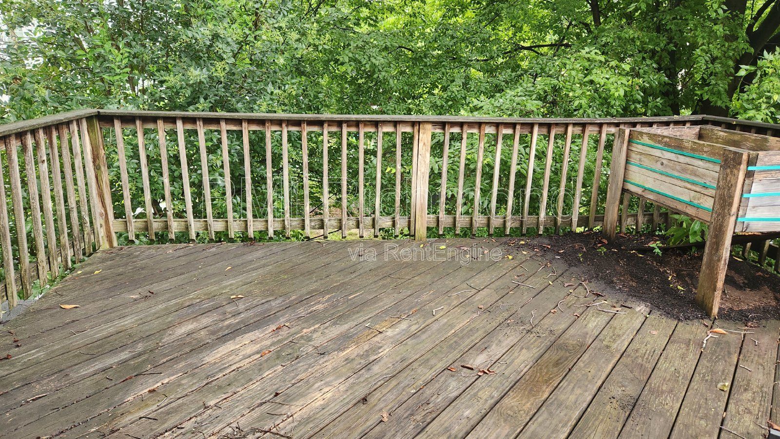 Gallery Image 18