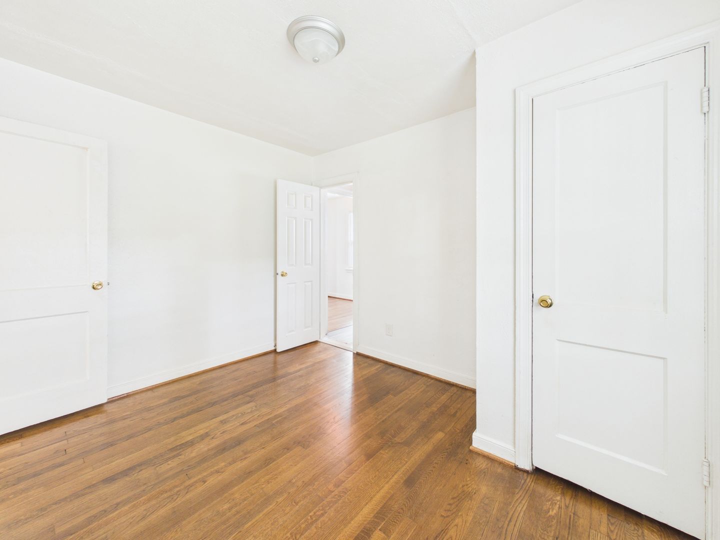 Gallery Image 11
