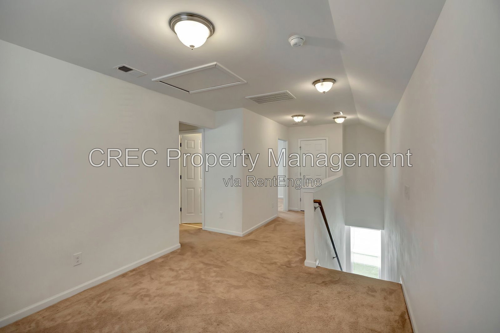 Gallery Image 19