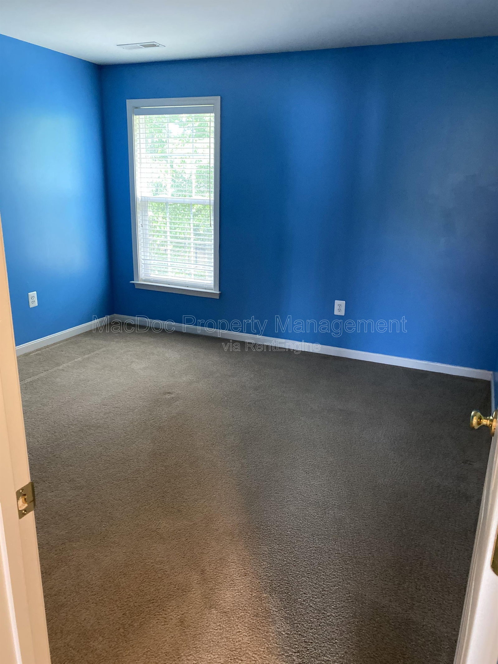 Gallery Image 30