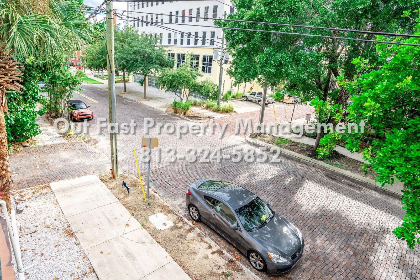 Gallery Image 14