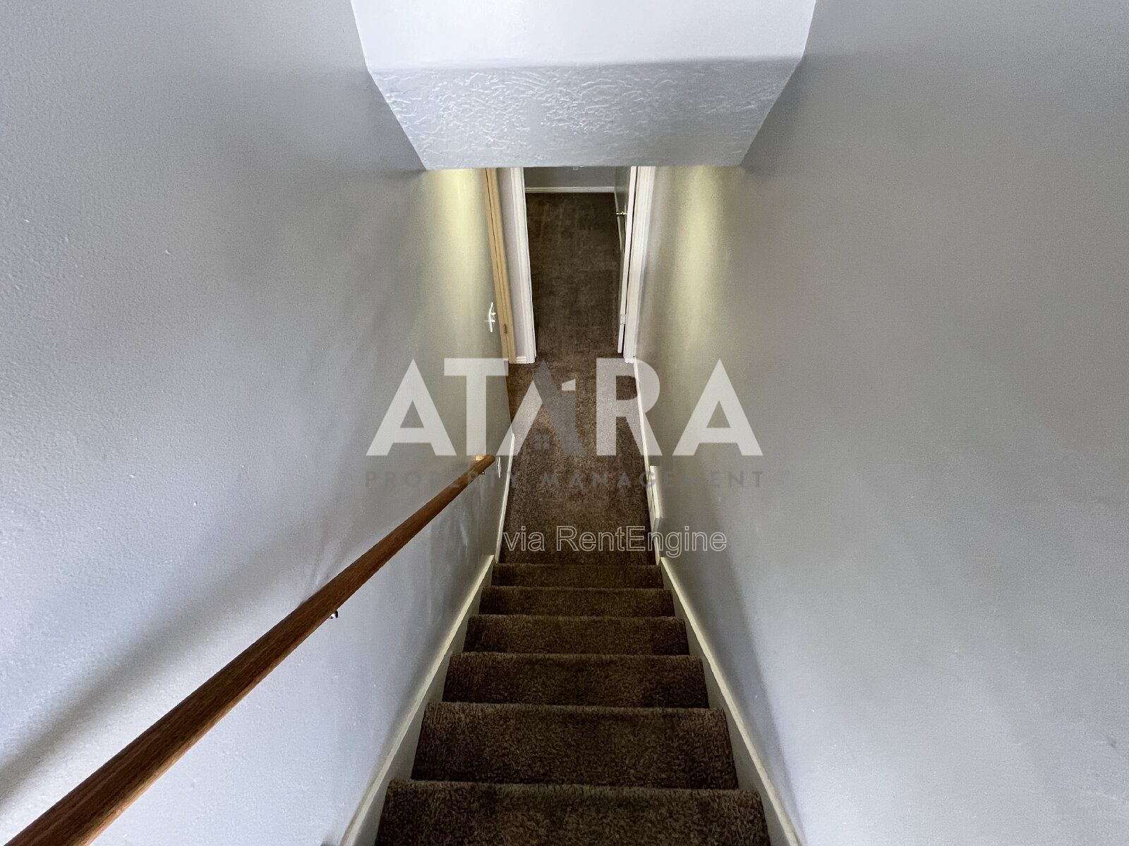 Gallery Image 20