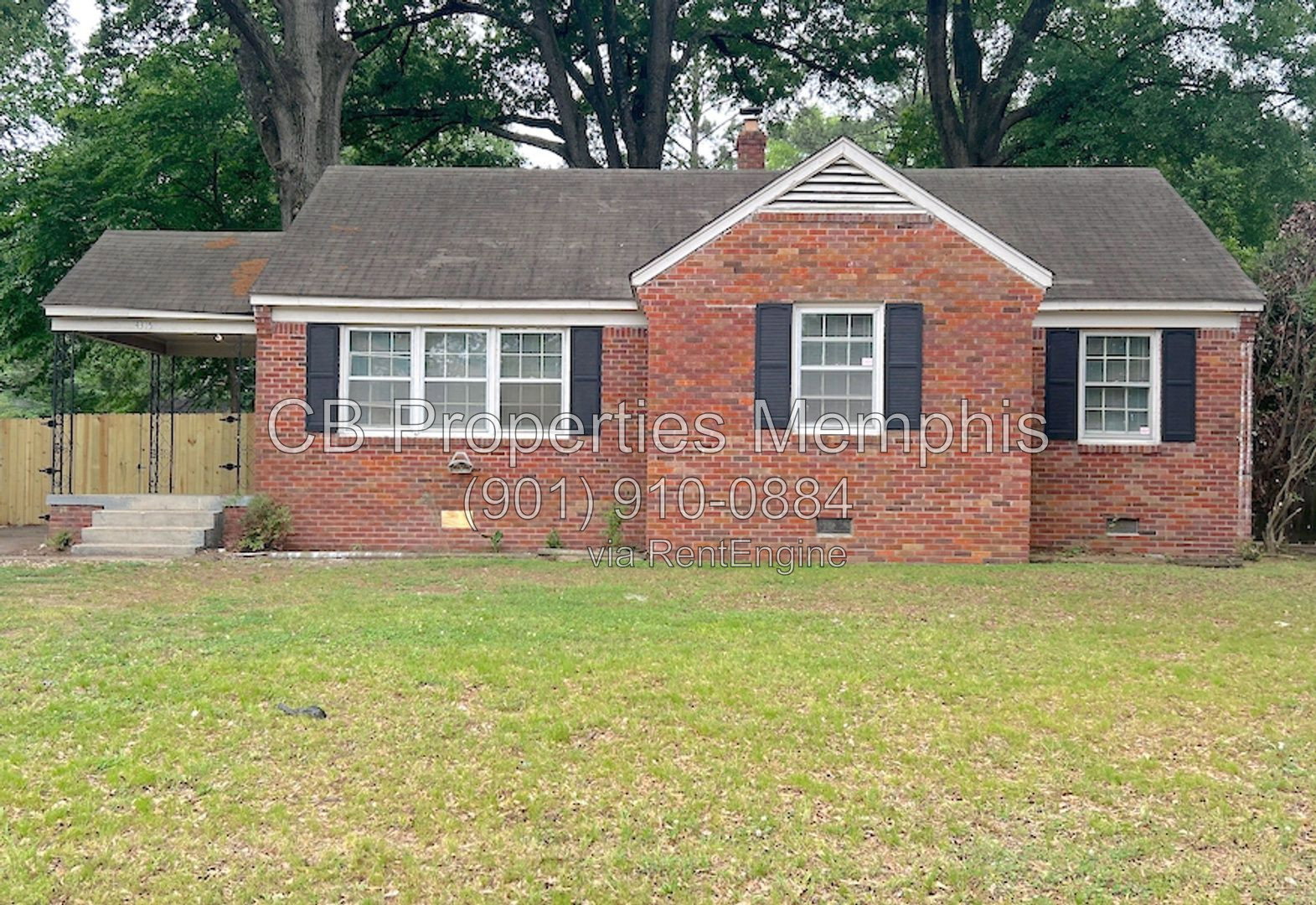 Gallery Image 0