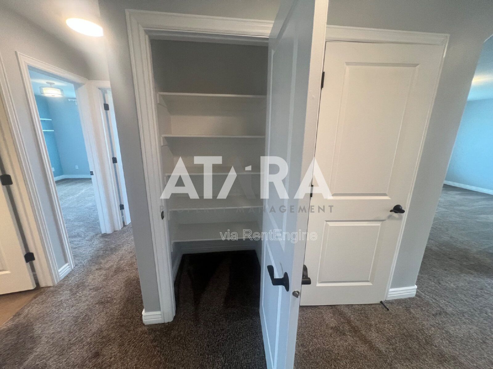 Gallery Image 27