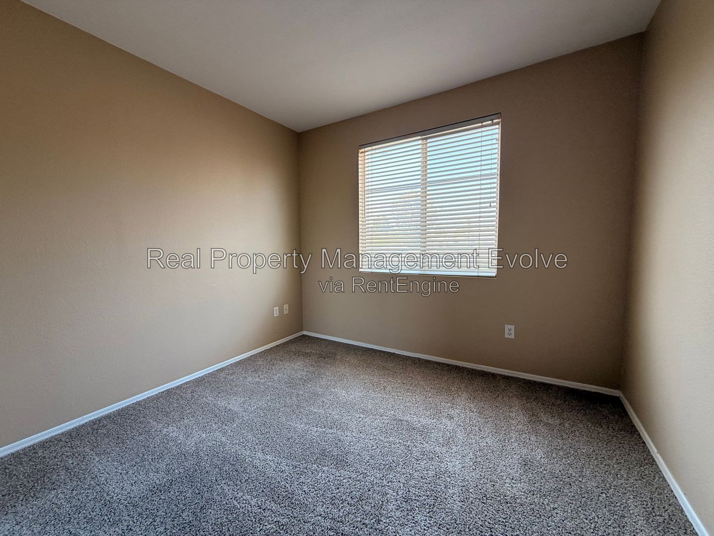 Gallery Image 19