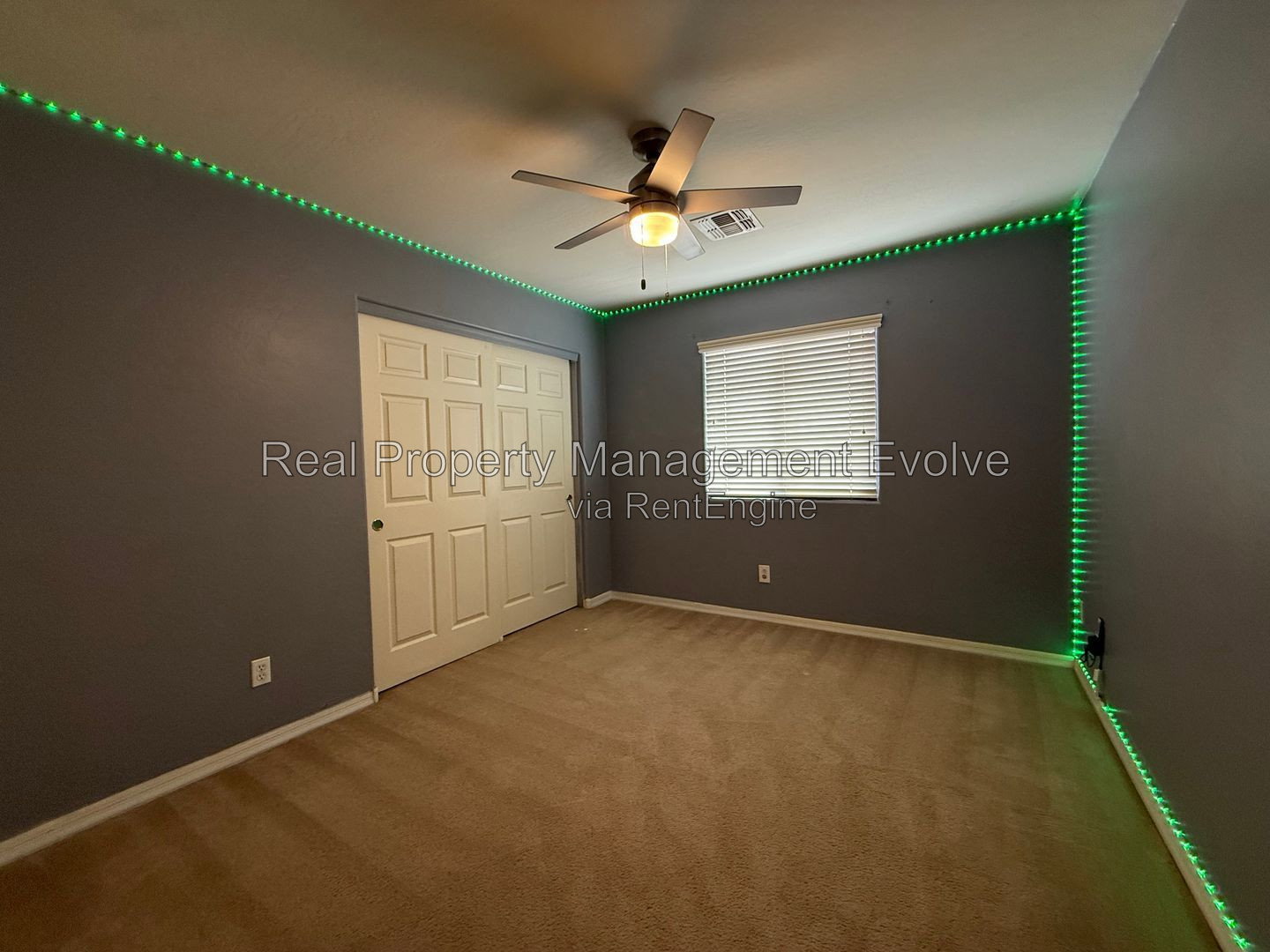Gallery Image 31