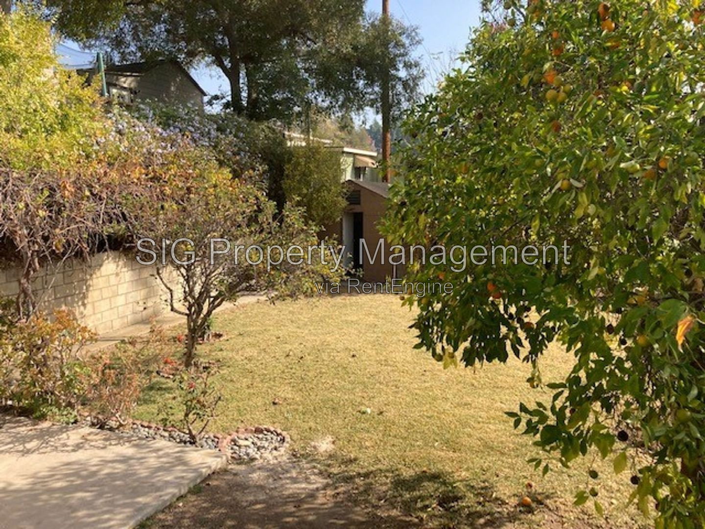 Gallery Image 21