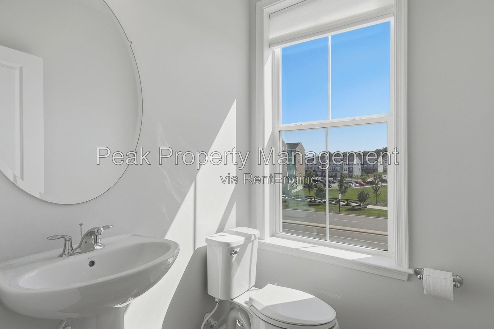 Gallery Image 16