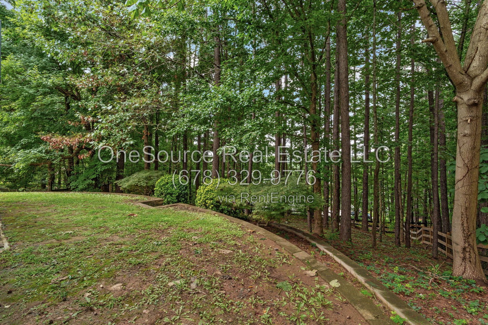Gallery Image 44