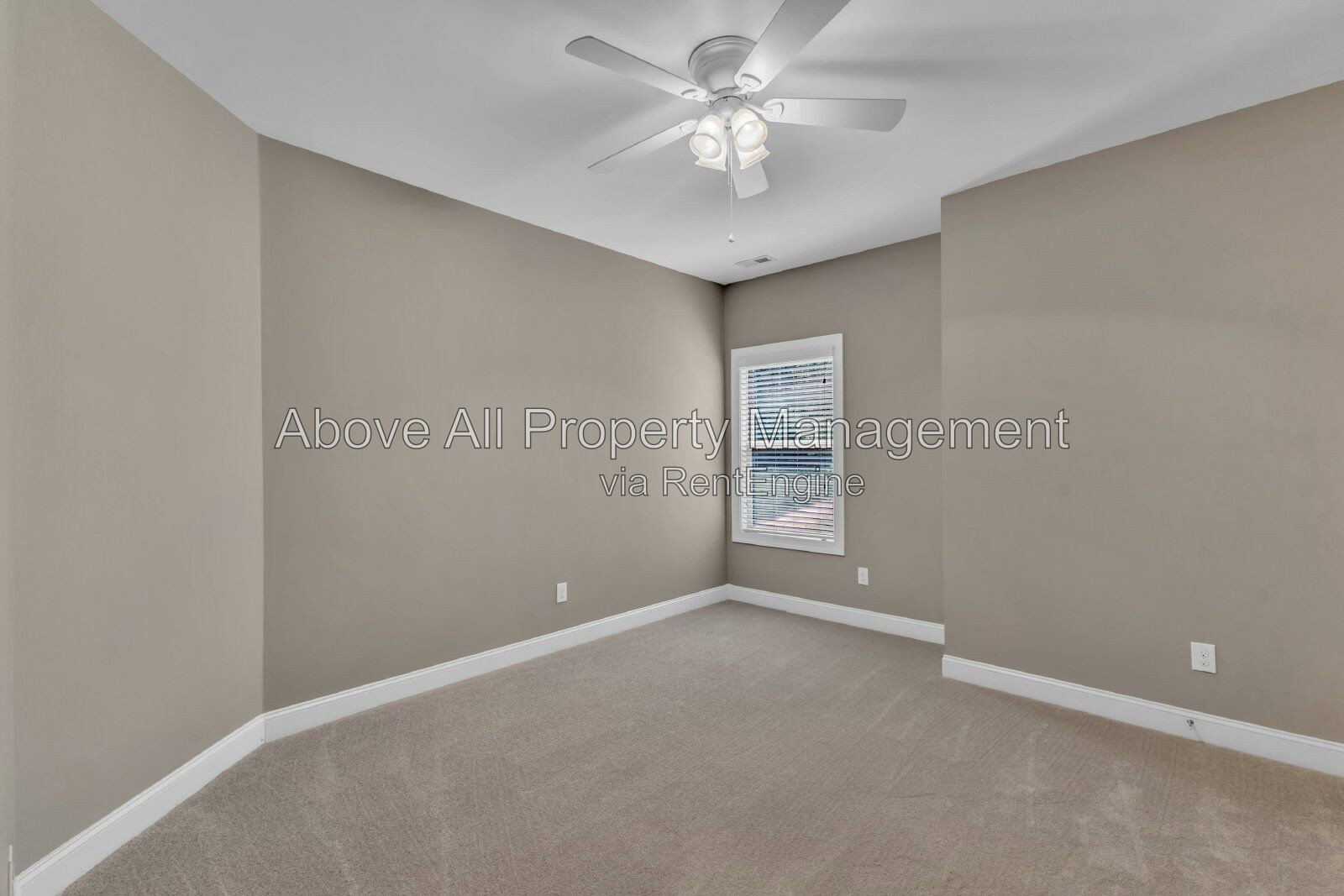 Gallery Image 41