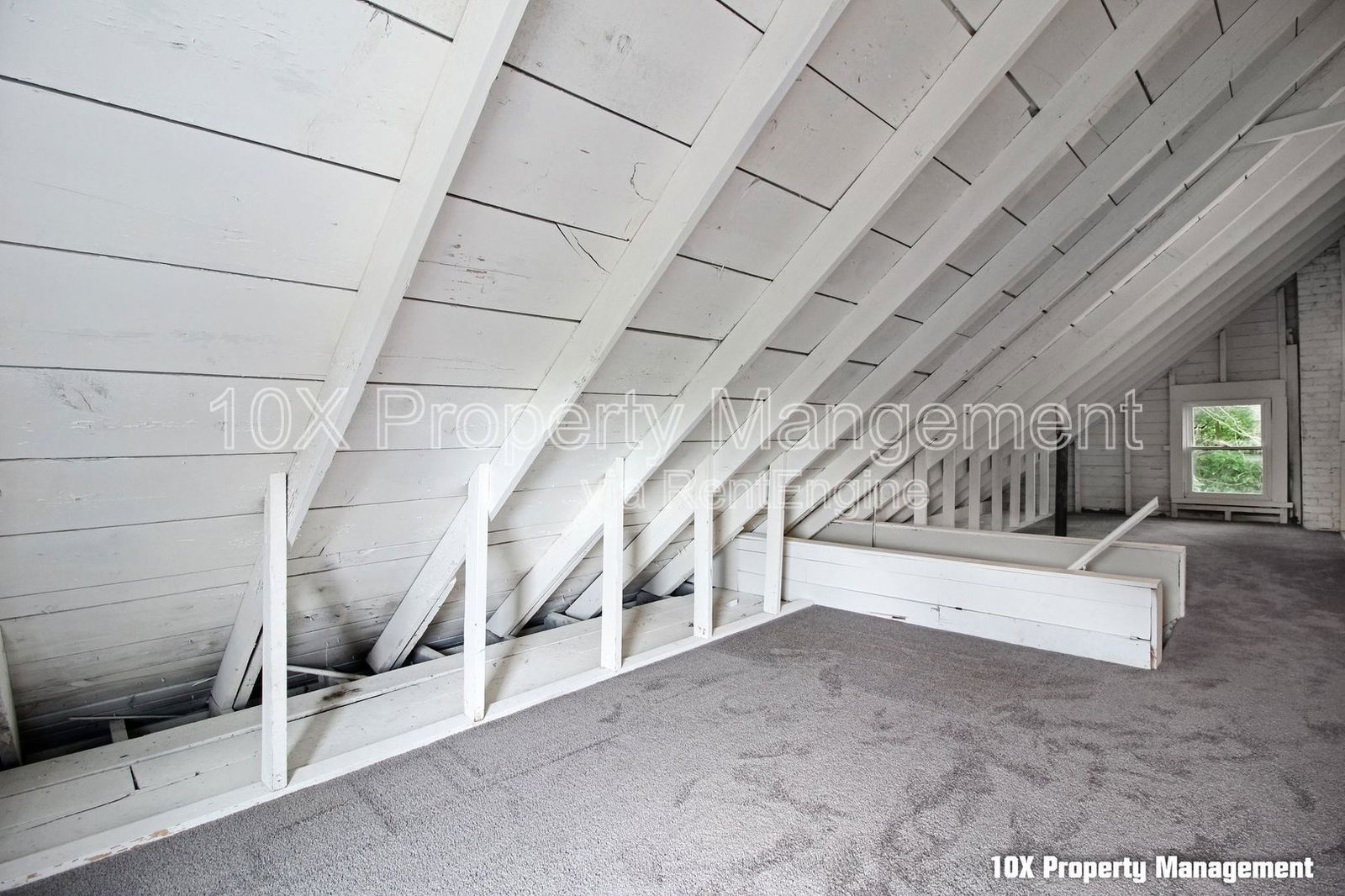 Gallery Image 19