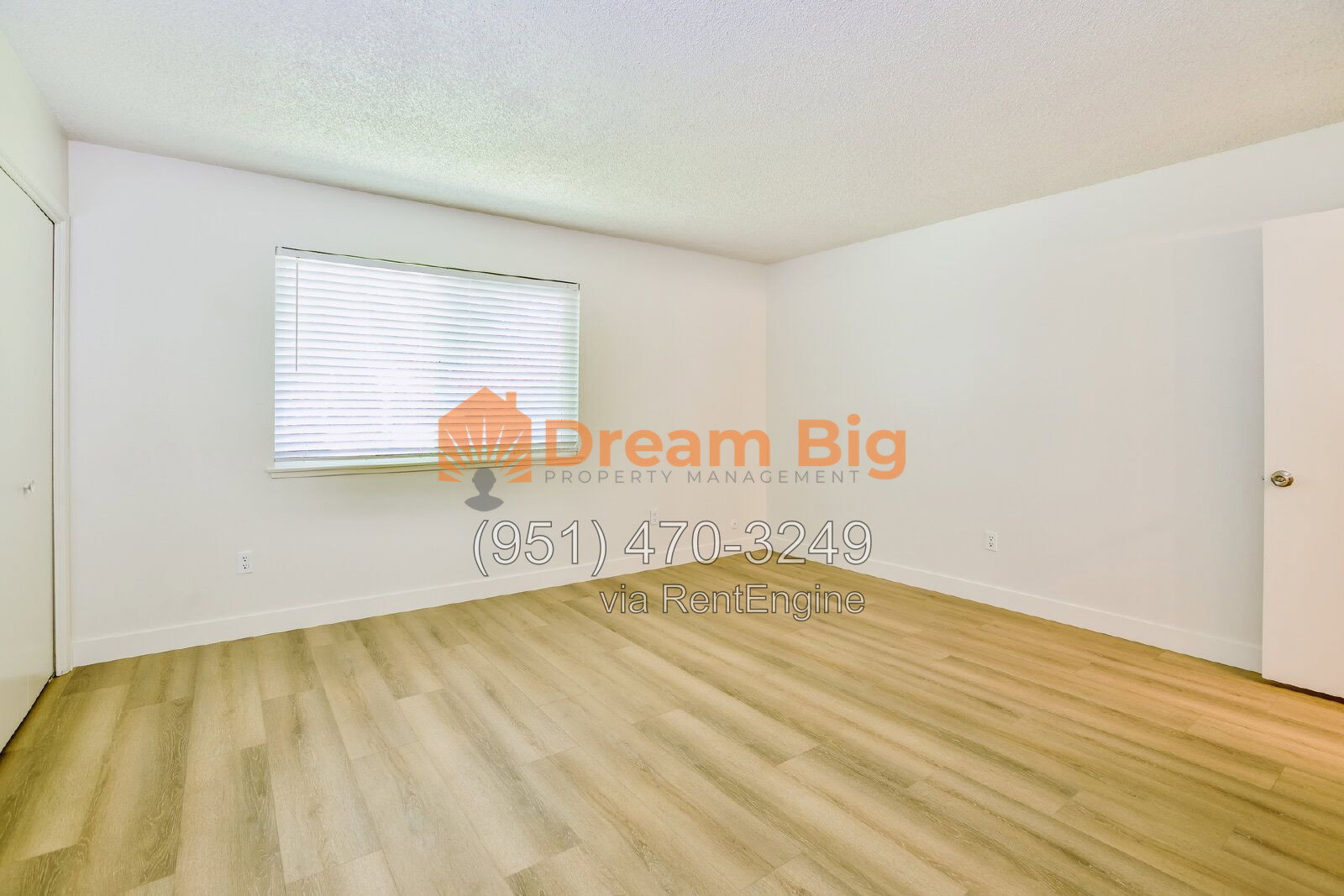 Gallery Image 19