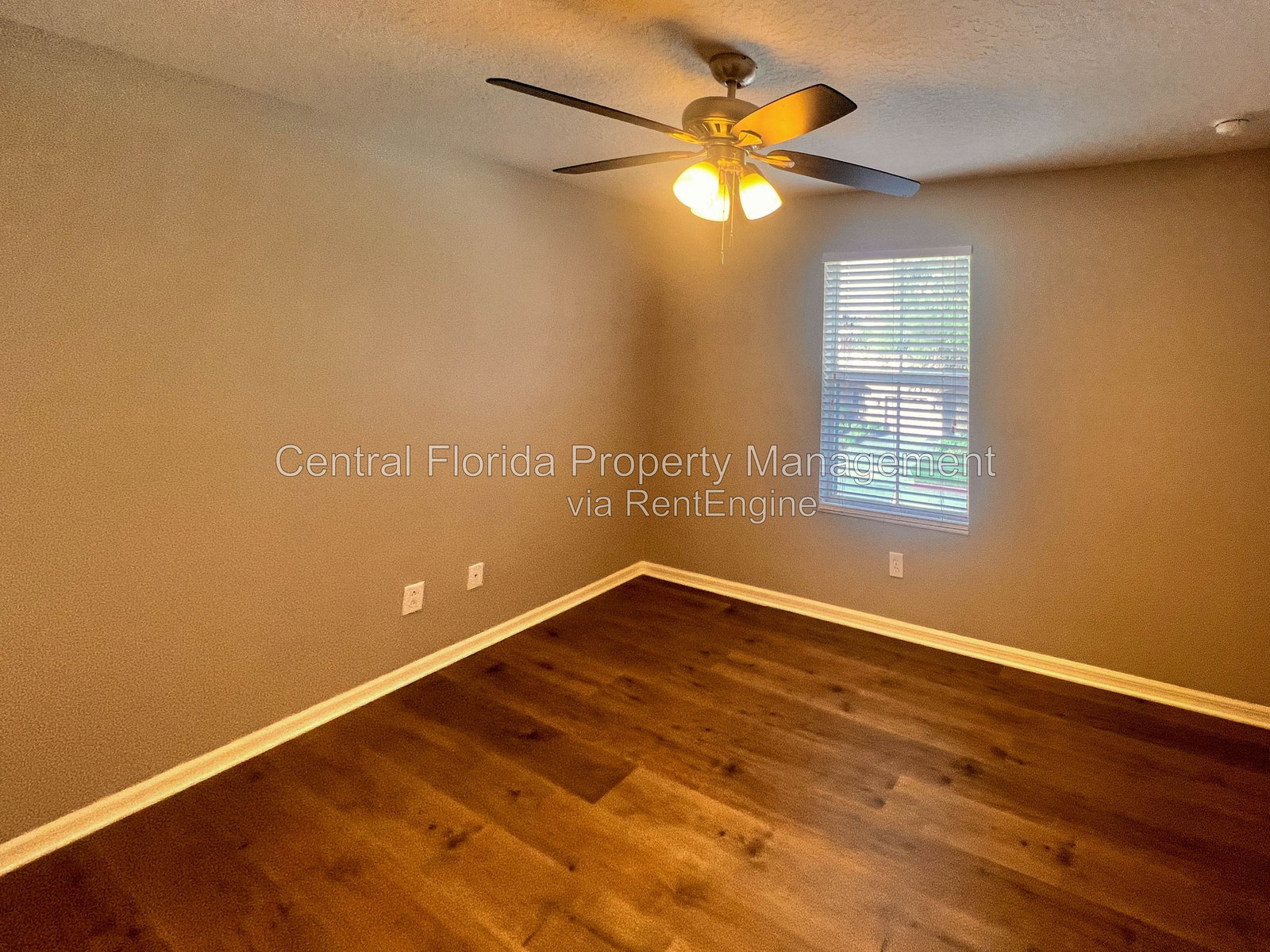 Gallery Image 19
