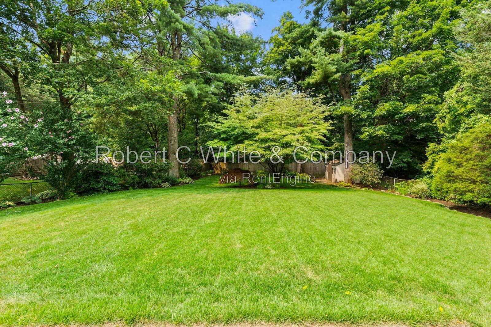 Gallery Image 36