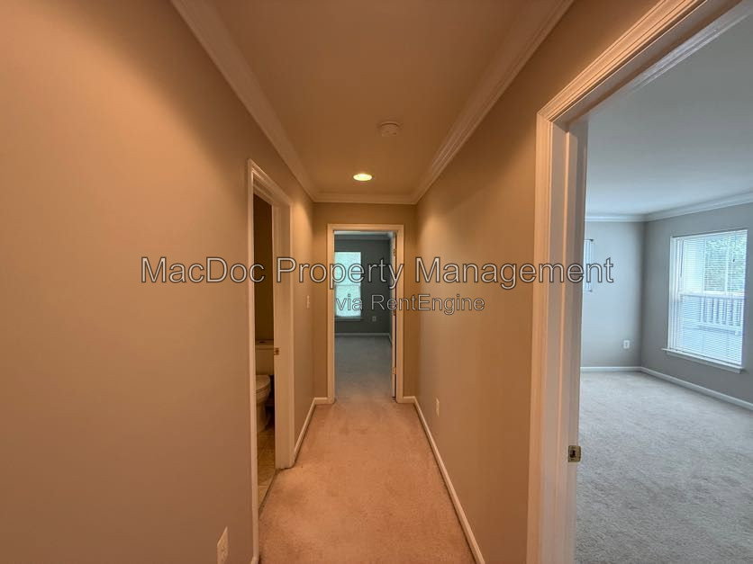 Gallery Image 59