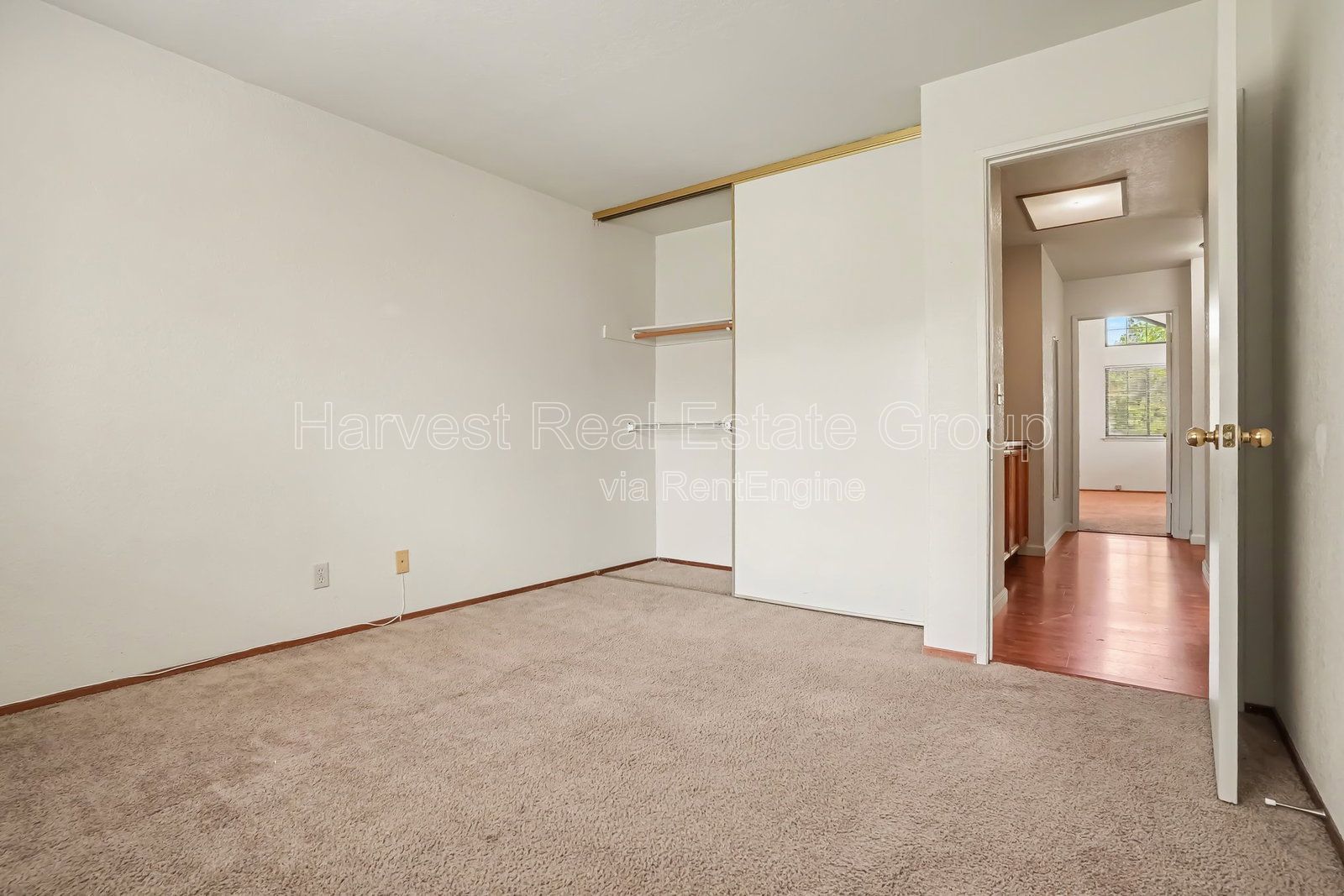 Gallery Image 16