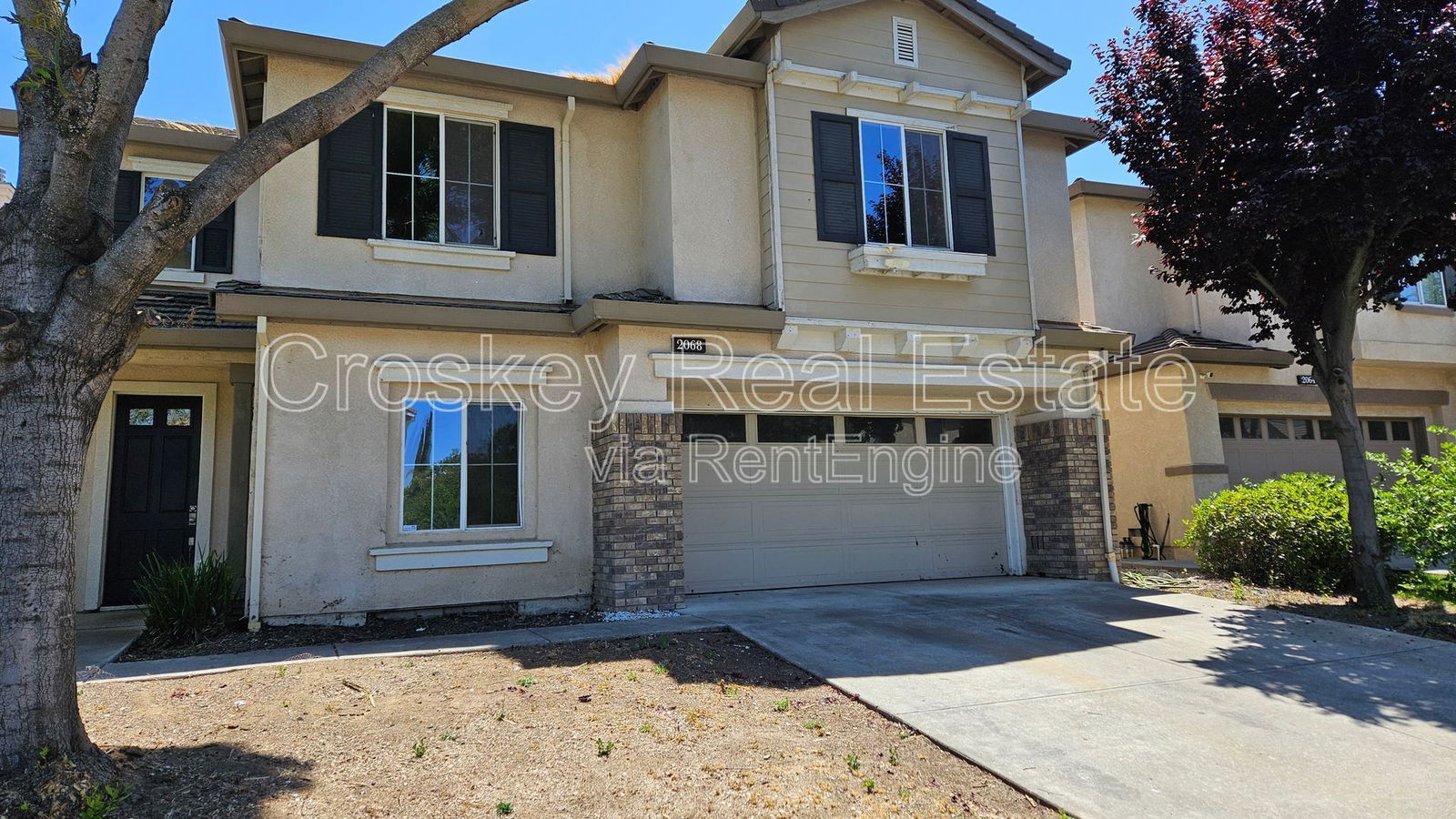 Gallery Image 0