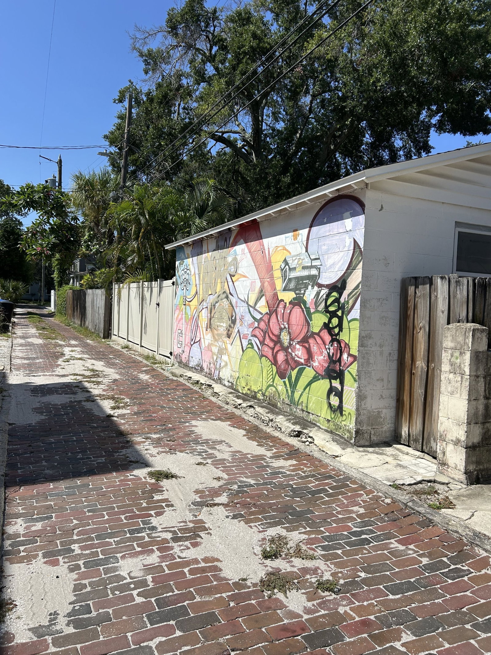 Gallery Image 15