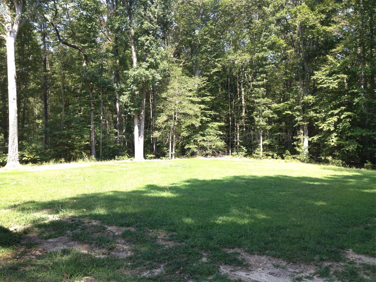 Gallery Image 36