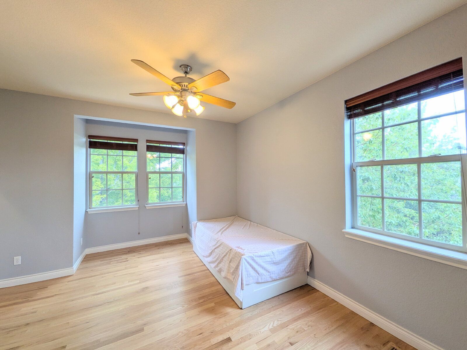Gallery Image 15