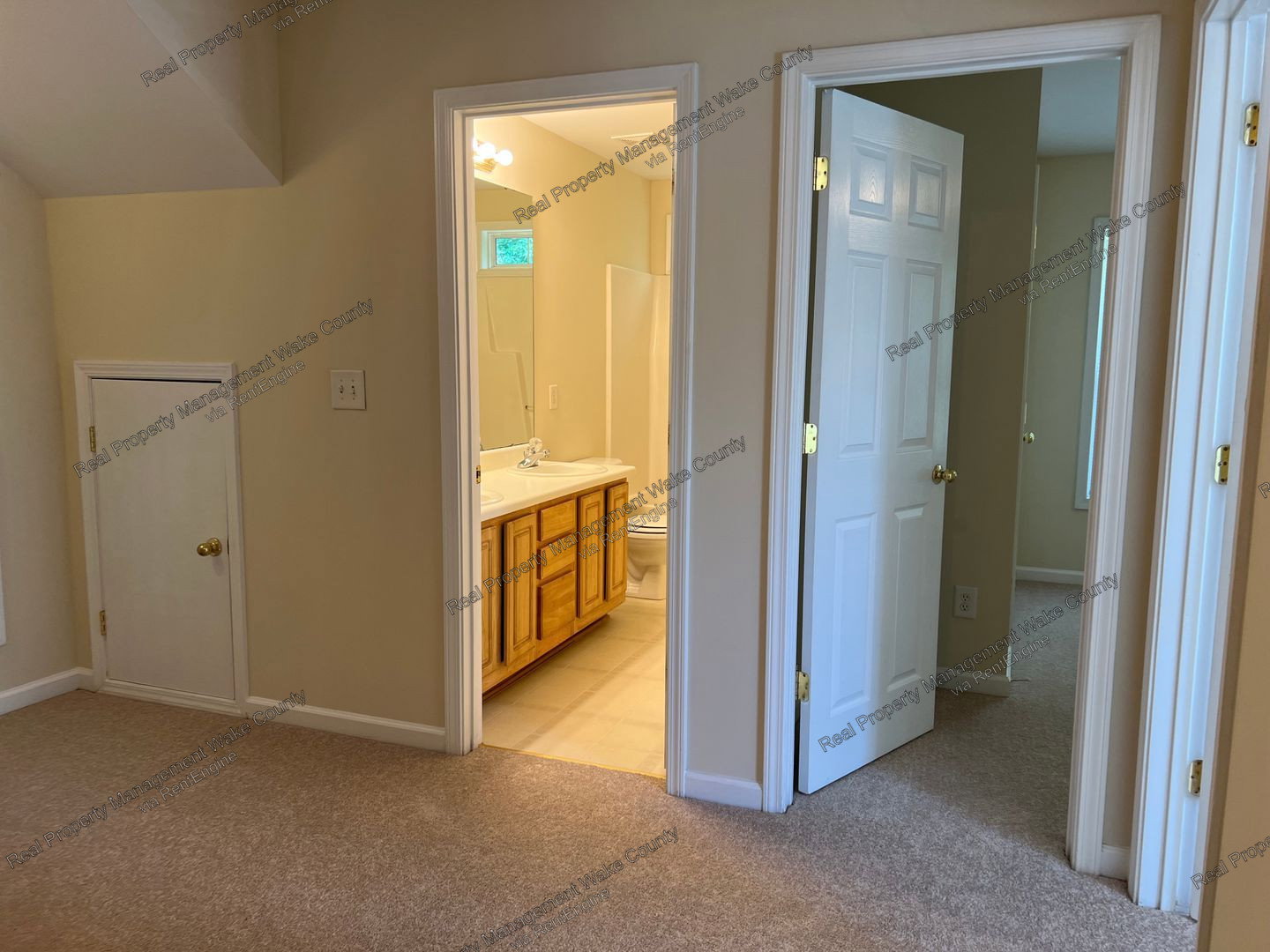 Gallery Image 19