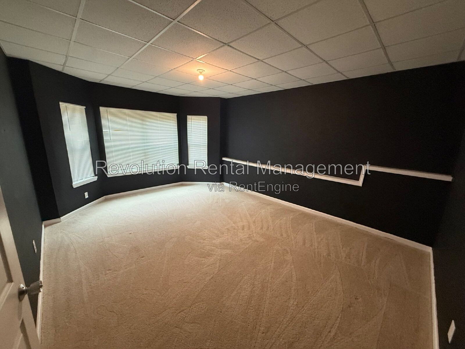 Gallery Image 17