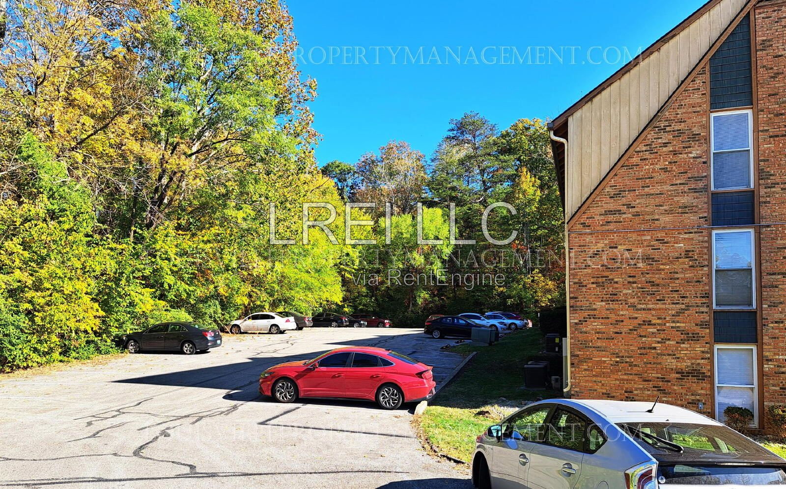 Gallery Image 14