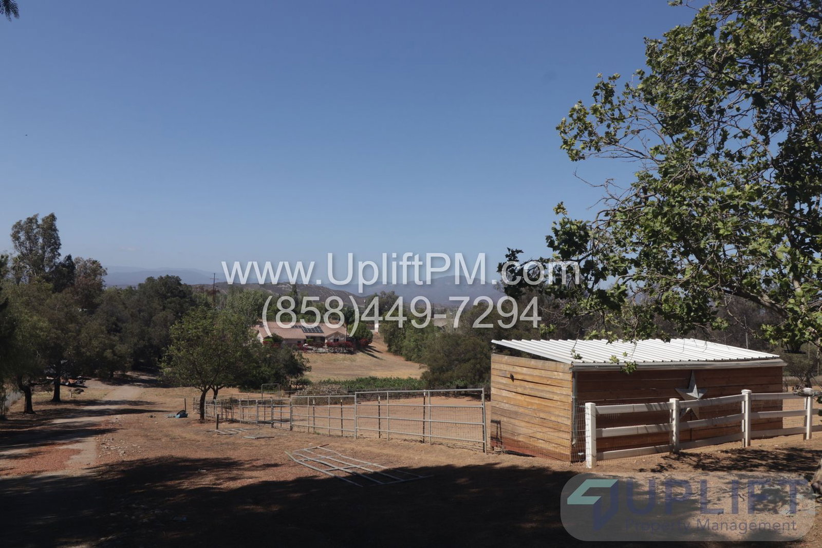 Gallery Image 22