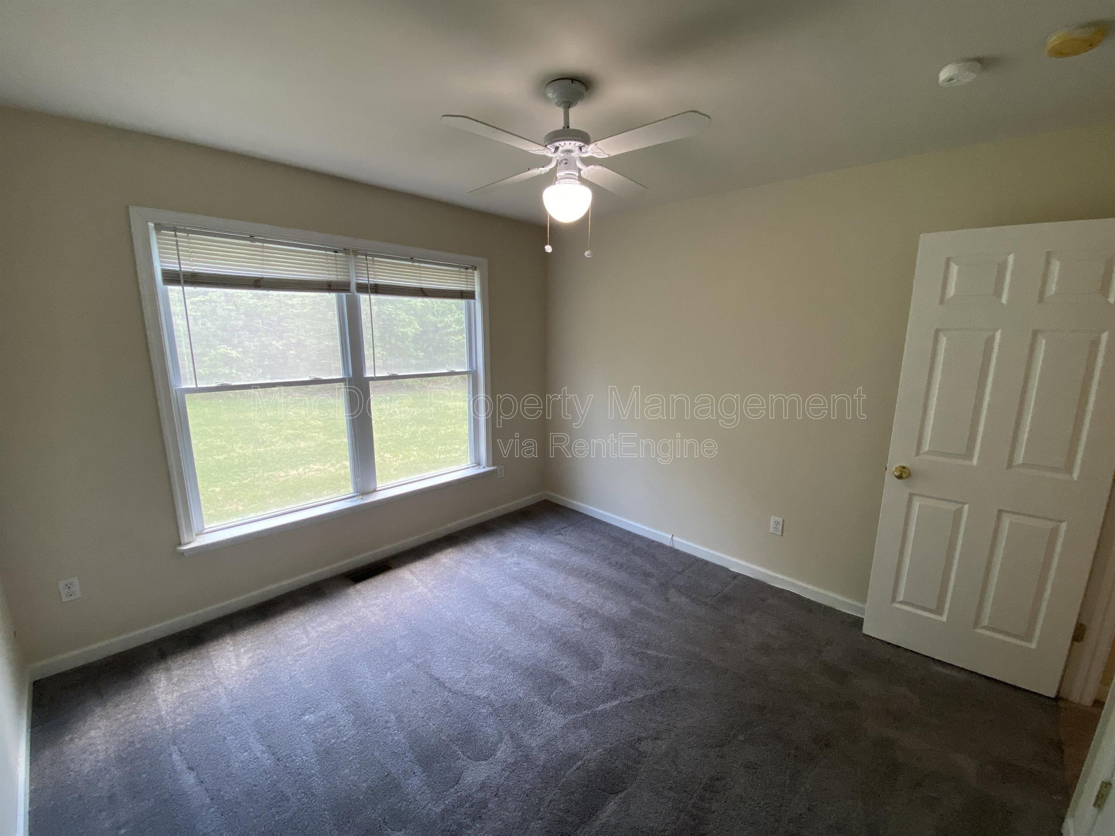 Gallery Image 19