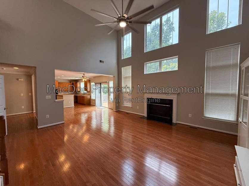Gallery Image 39