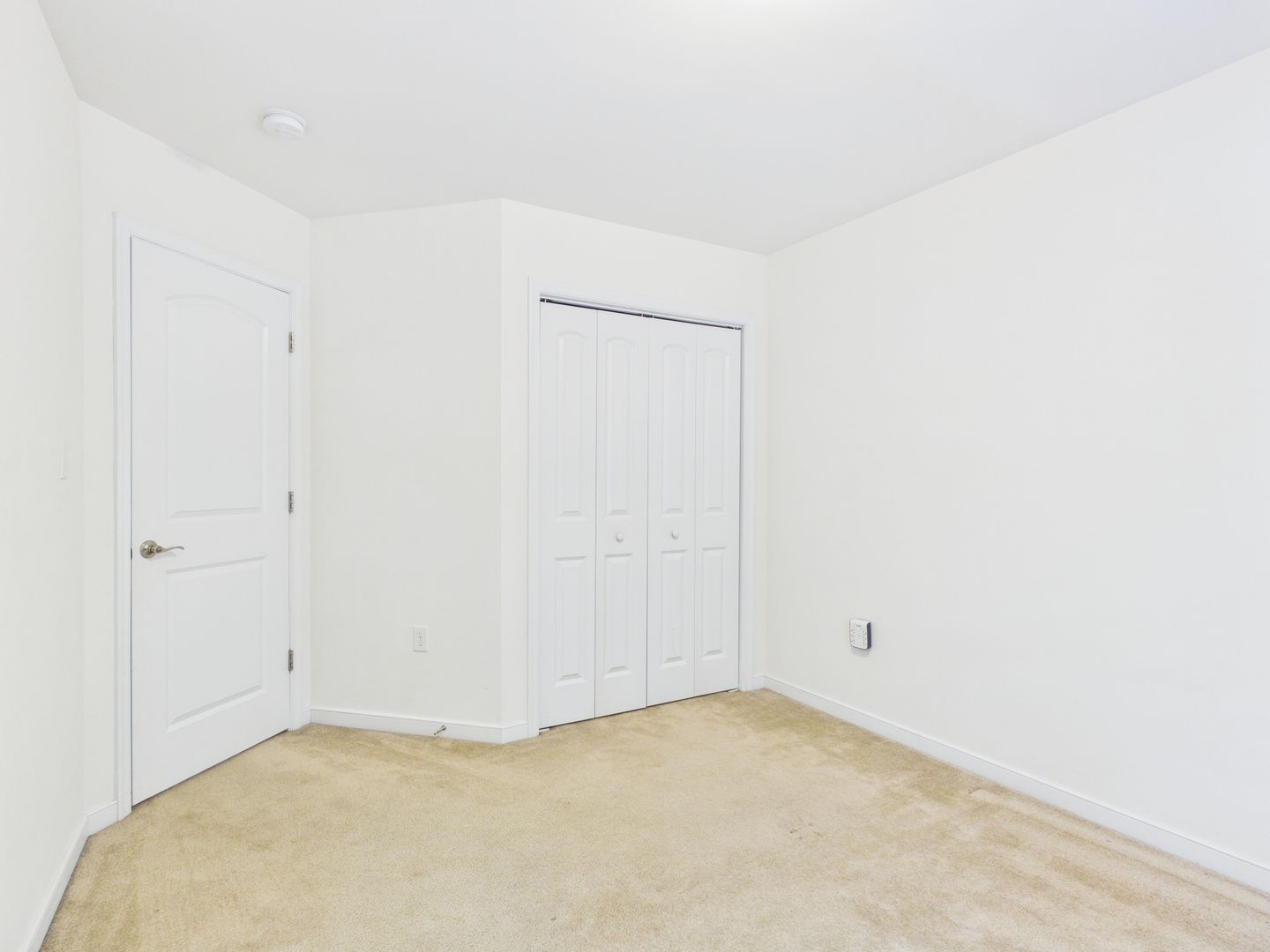 Gallery Image 19
