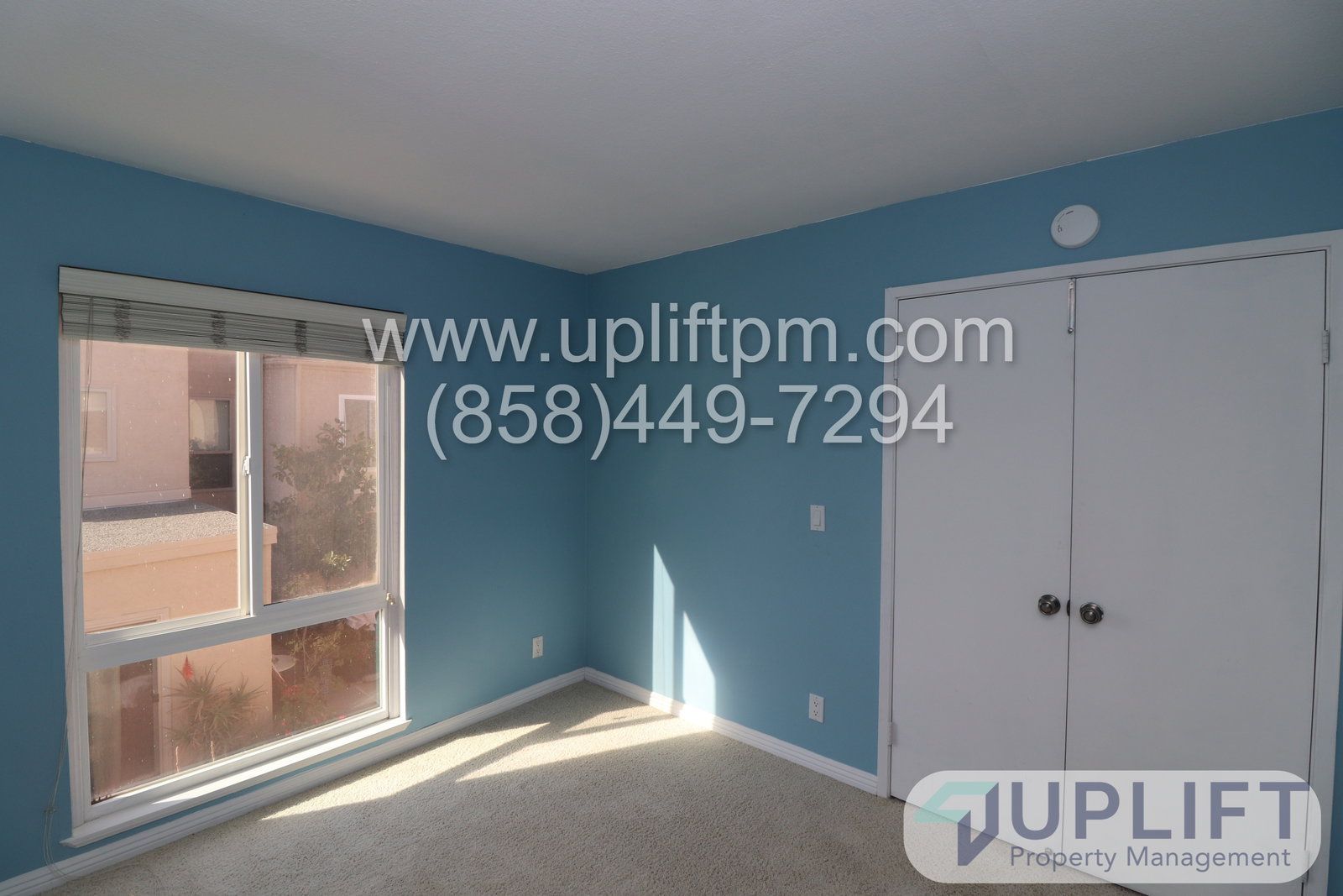 Gallery Image 14