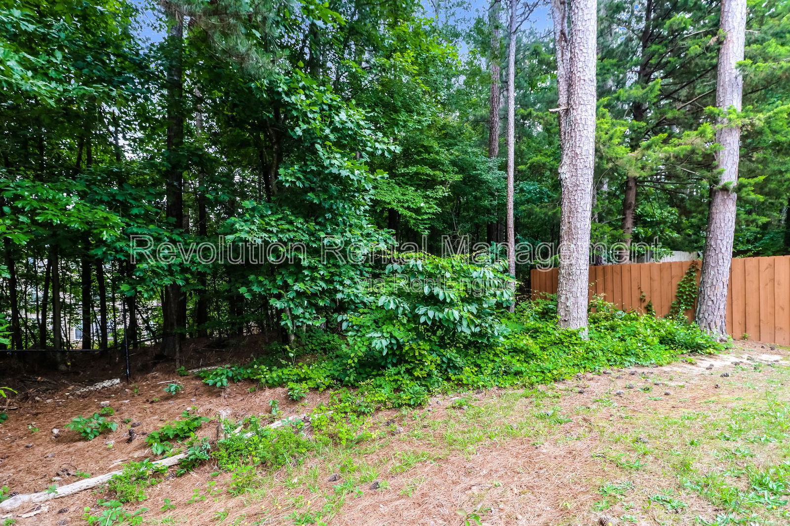 Gallery Image 16
