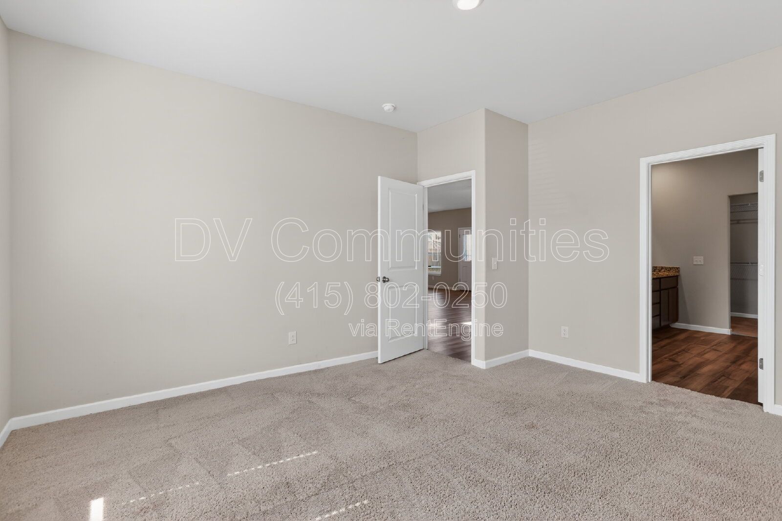 Gallery Image 19