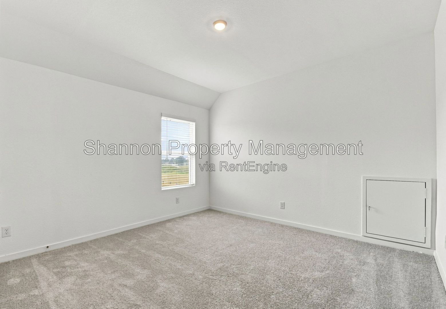Gallery Image 31