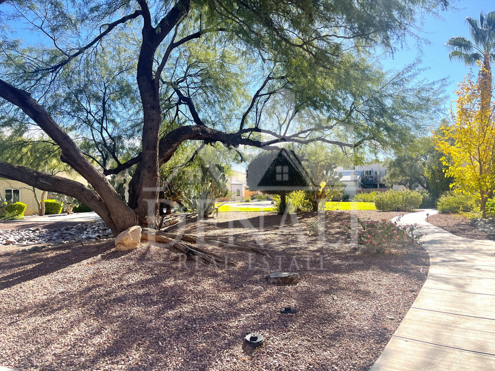 Gallery Image 23