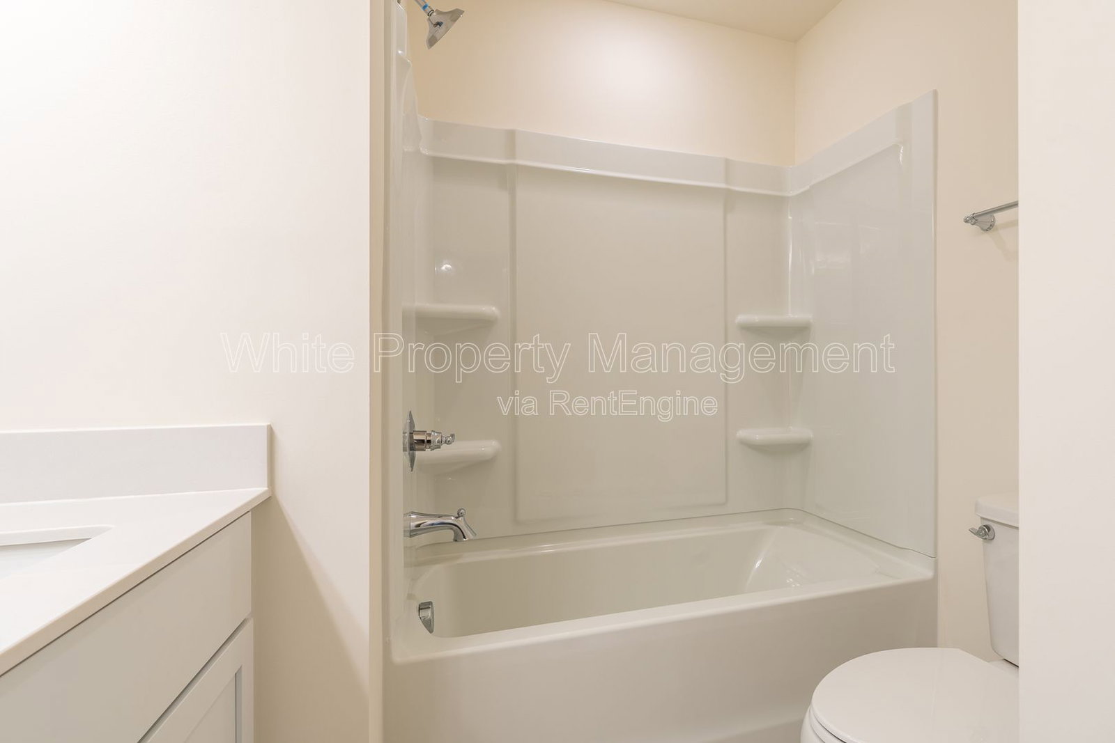 Gallery Image 21