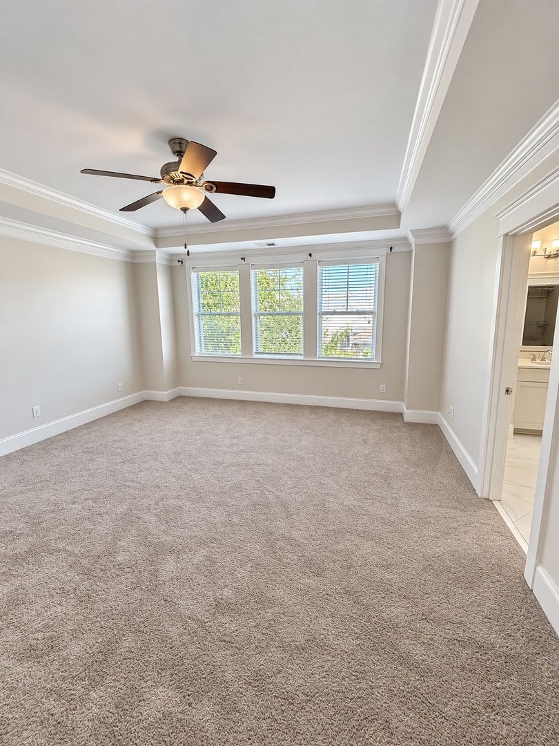 Gallery Image 17