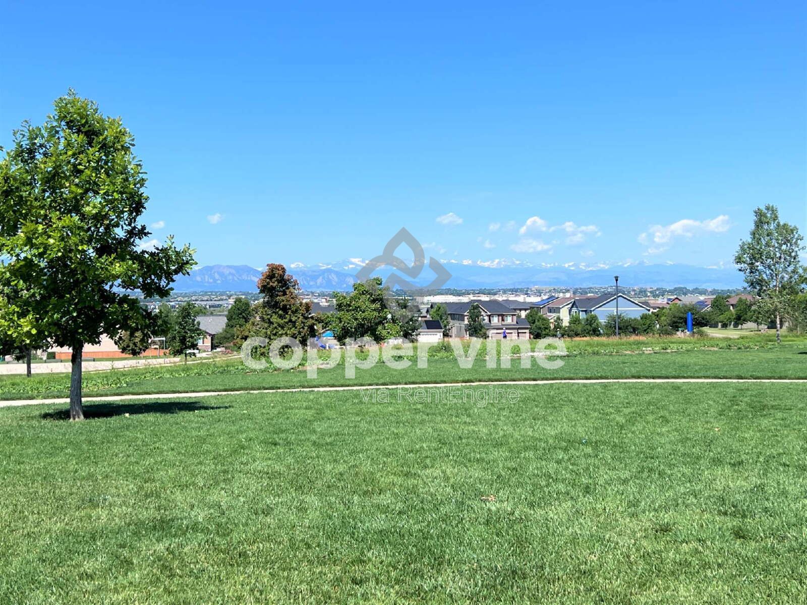 Gallery Image 40