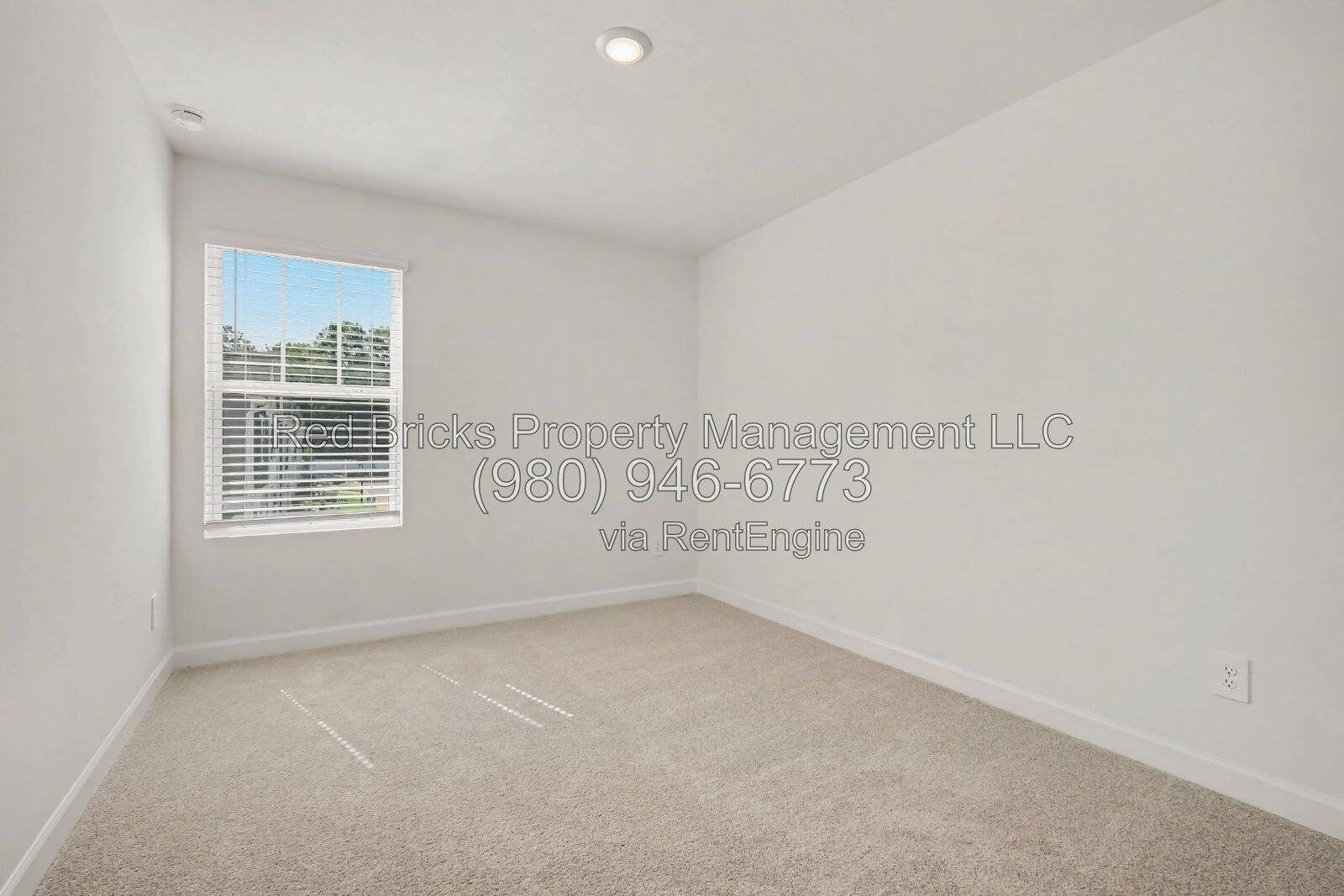 Gallery Image 25