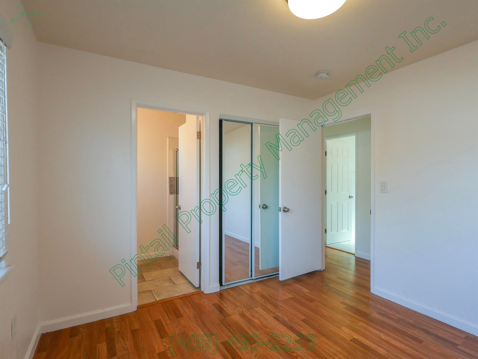 Gallery Image 11