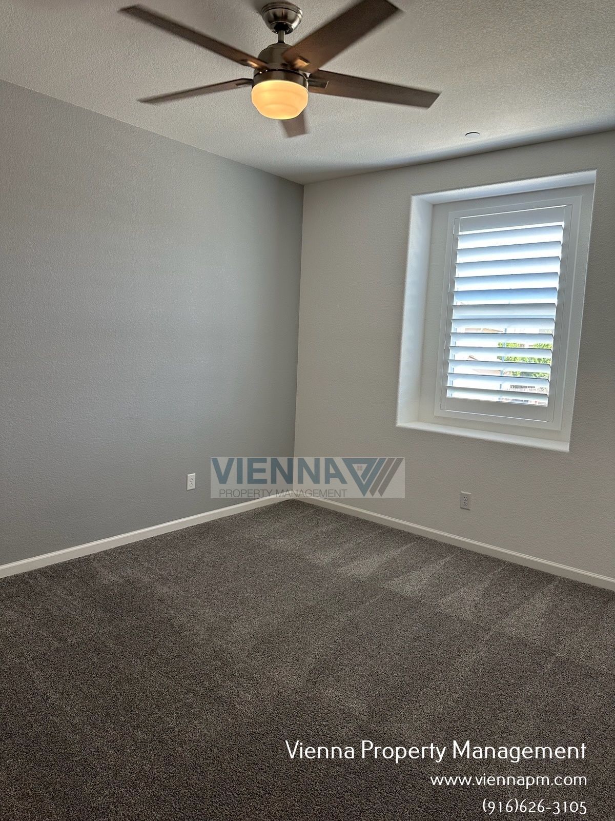 Gallery Image 25