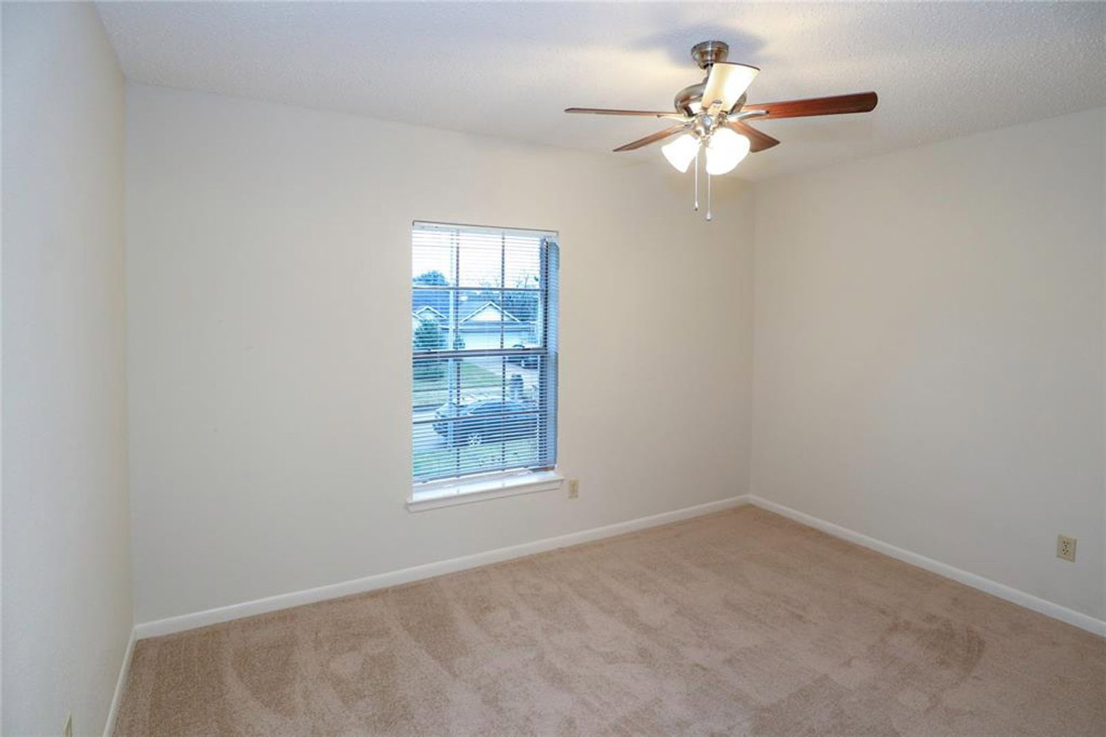 Gallery Image 19